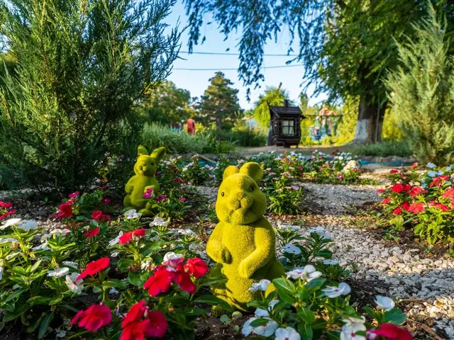 фотографии отеля Азовский (Azovskij) изображение №3