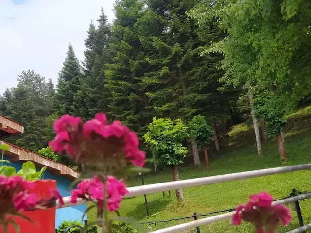 фото Bolu Yildiz Hotel изображение №10