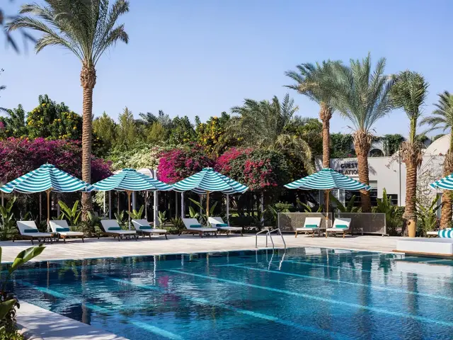 фотографии Desert Rose Resort изображение №8