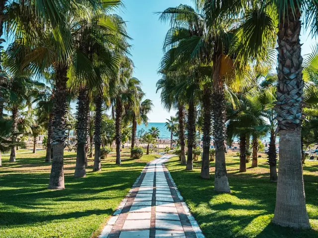 фото отеля Sural Resort изображение №21