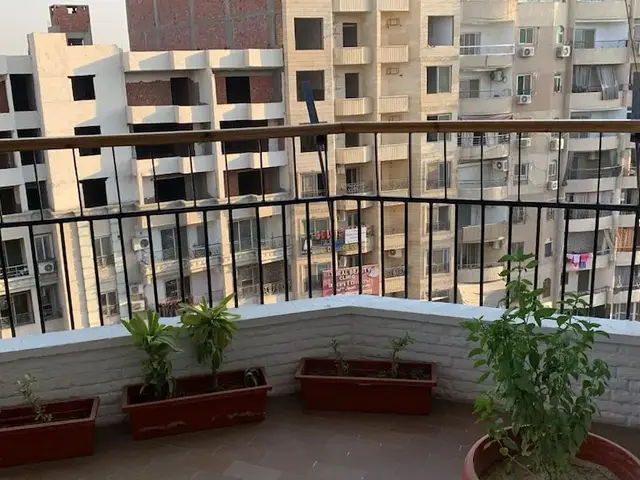 фотографии Pyramids Nights Hostel изображение №8
