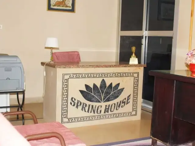 фото Spring House изображение №18
