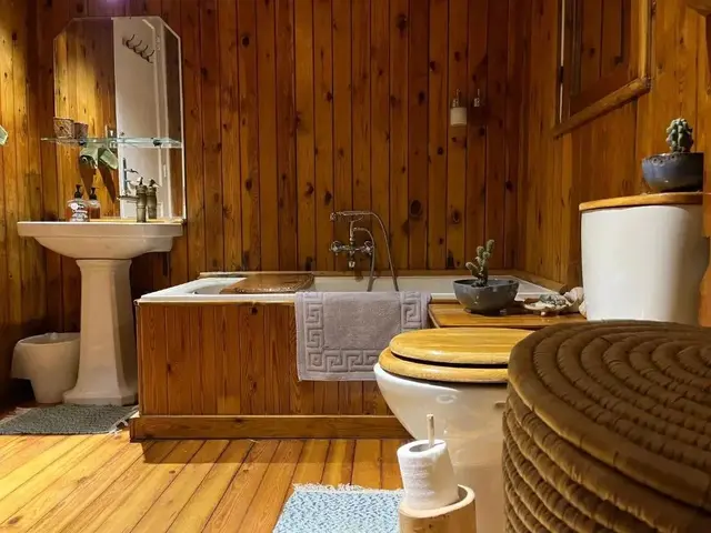 фотографии отеля Houseboat65 - Historic home on the Nile - Central Cairo изображение №3