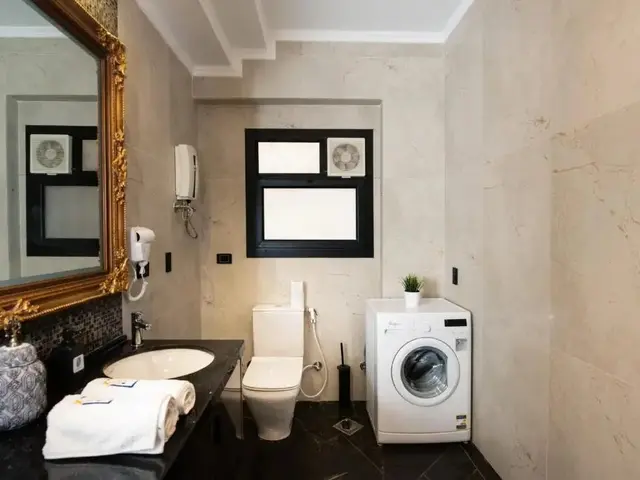 фотографии The Bold Parisian House - Steps From The Best Mall in Cairo изображение №12