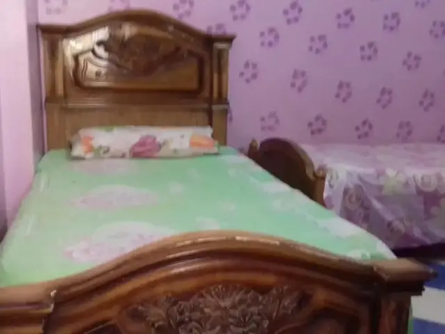 фото отеля A 3-BR apt with FP in Alex - 20 mins from the sea изображение №5