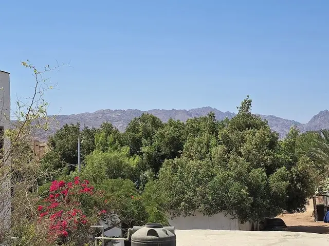 фото отеля Manzzel Dahab Hostel изображение №21