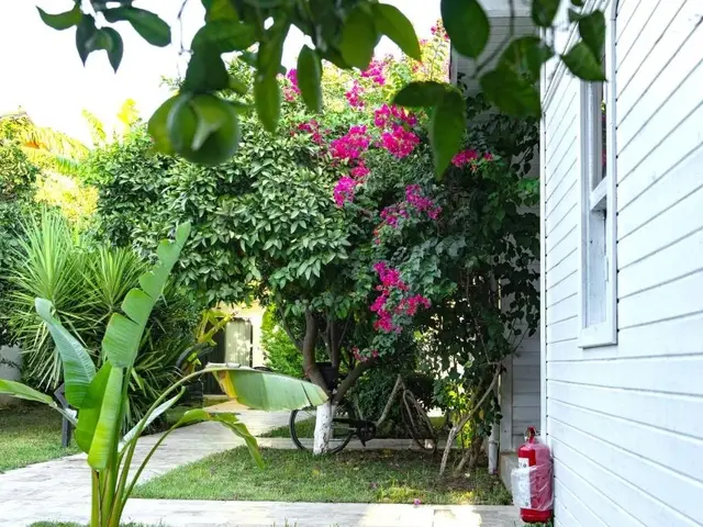 фотографии Perast Garden изображение №20