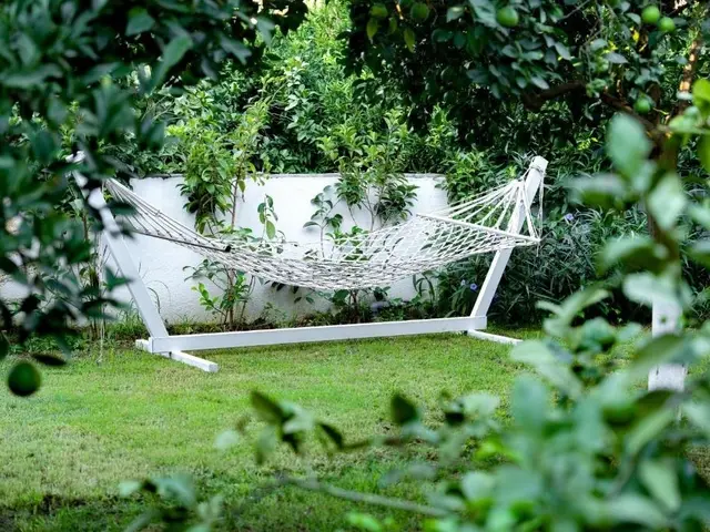 фото Perast Garden изображение №18