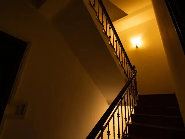 фотографии Buncha House изображение №4