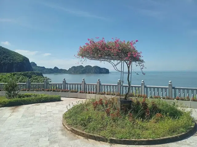 фотографии Catba Island Hotel изображение №4