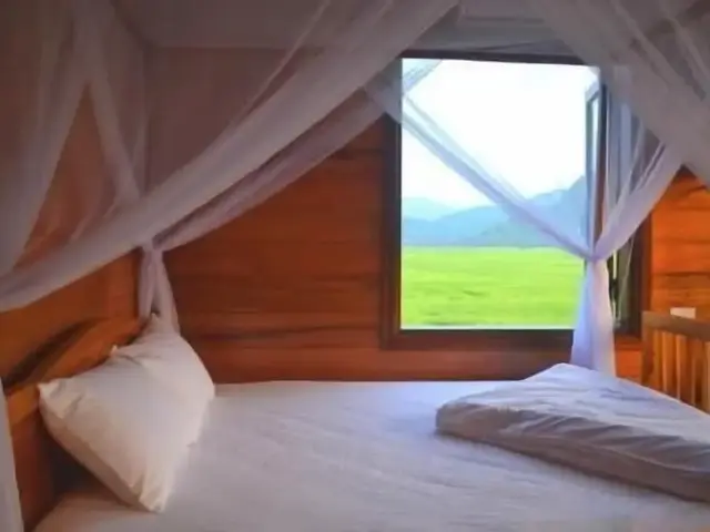 фото отеля Sy's Homestay изображение №49