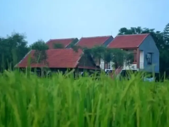 фото отеля Sy's Homestay изображение №29