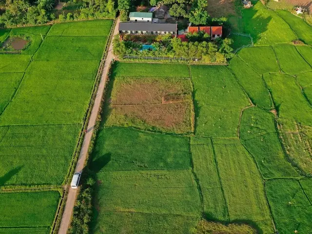 фотографии Sy's Homestay изображение №24