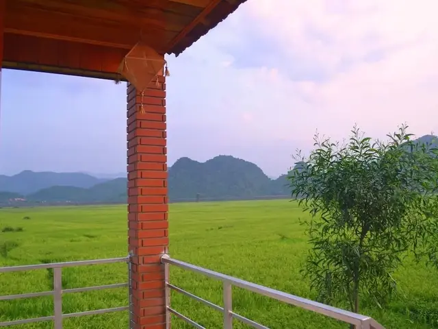 фотографии Sy's Homestay изображение №8