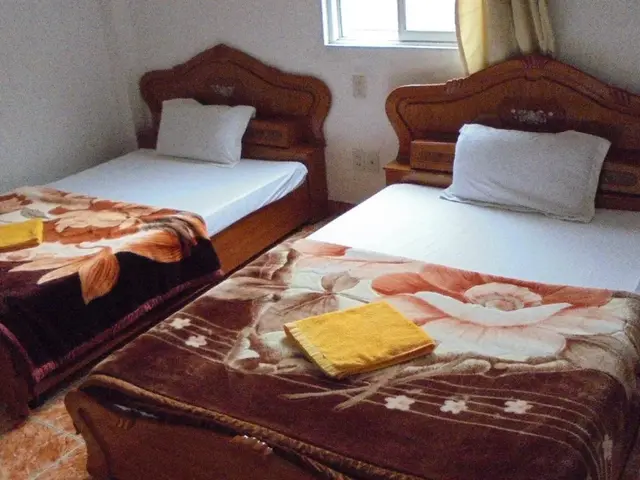 фото отеля Catba Hostel изображение №25