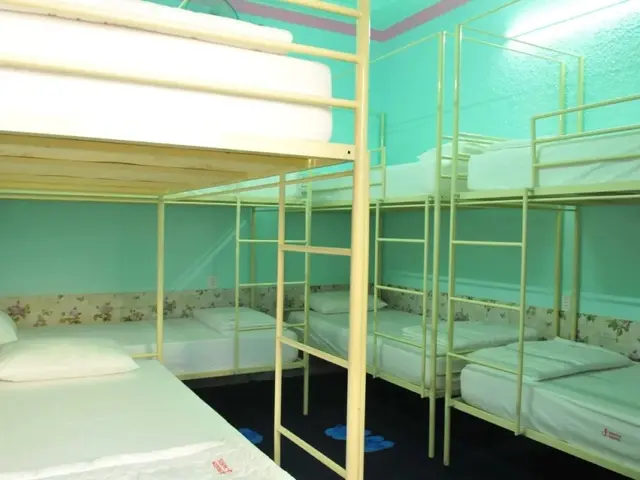 фото отеля Dragon Hostel изображение №1