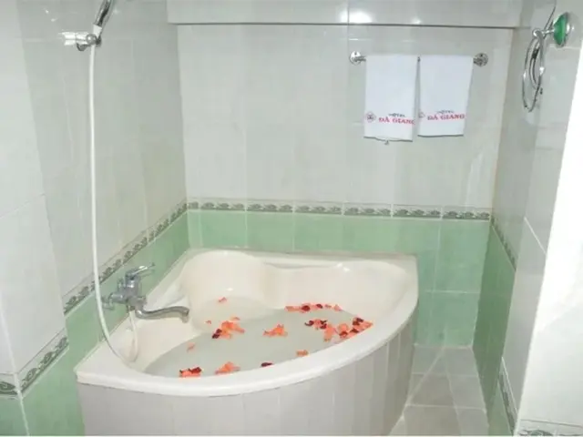 фото отеля Da Giang Hotel изображение №5