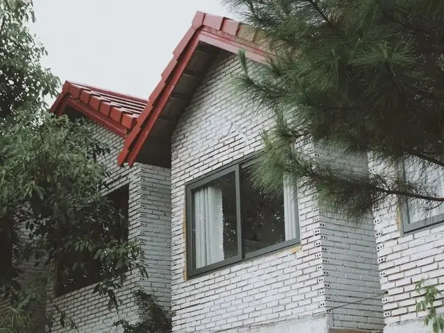 фото Mint Haus изображение №2