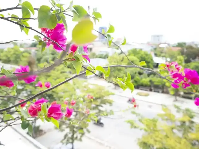 фото Memory Homestay изображение №18