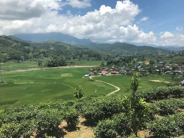 фотографии Fancy Sapa Hostel 2 изображение №4