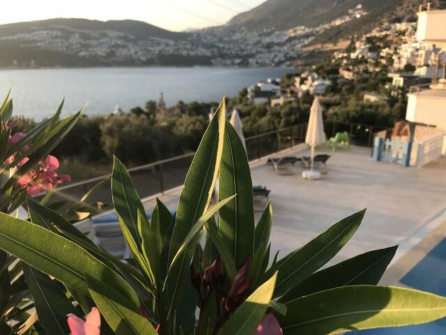 фотографии отеля Matiana Hotel изображение №15