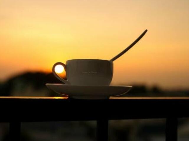 фотографии отеля Thanh Vy Hotel изображение №15