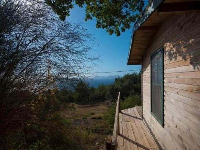 фотографии Faralya Botanica изображение №32