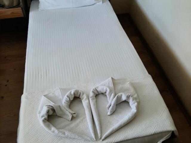 фотографии Wallabies Victoria Hotel изображение №12