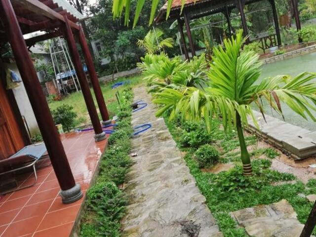 фото Areca Garden Bungalow изображение №2