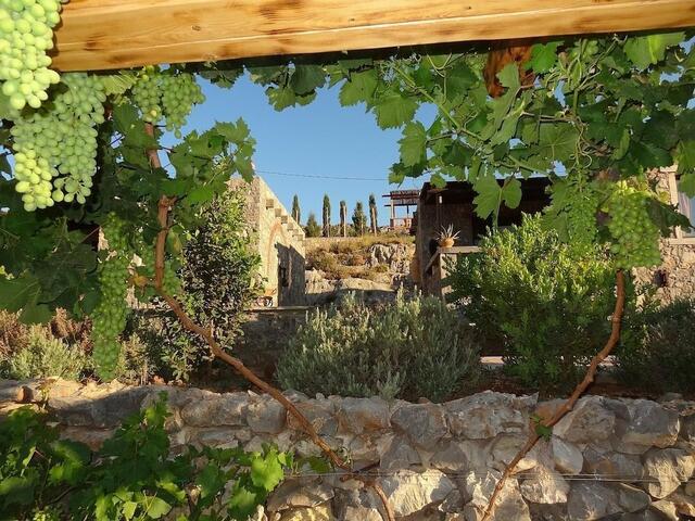 фотографии отеля Terra Minoika Villas изображение №19