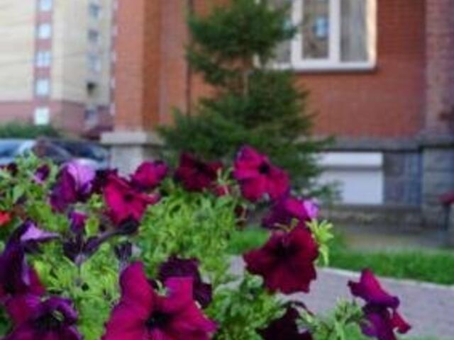 фото Smorodina Hotel & Hostel изображение №2