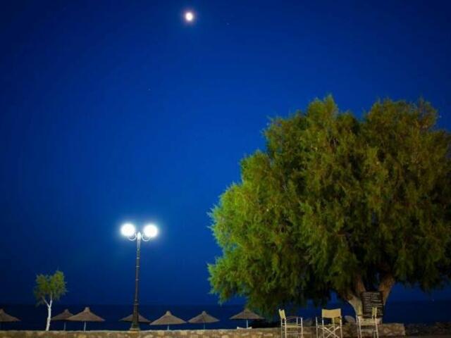 фотографии Triton Hotel изображение №4