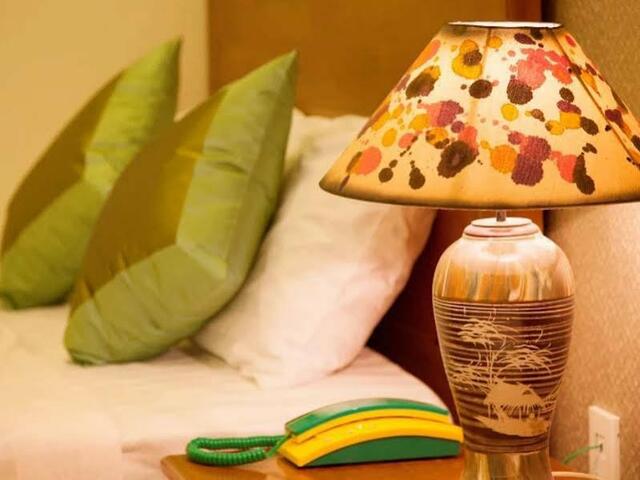 фотографии отеля Pelican Hotel изображение №15