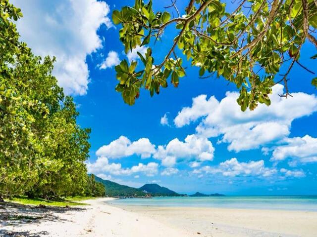 фотографии отеля Natien Beach Villa изображение №15