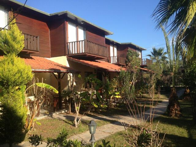 фото Kutle  изображение №26