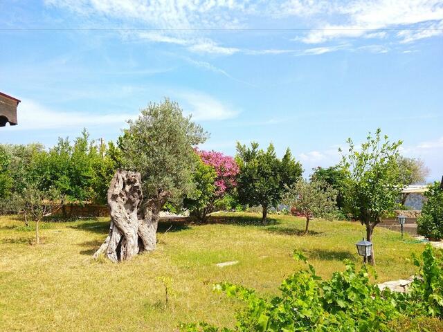 фотографии отеля Zephyros Hotel изображение №31