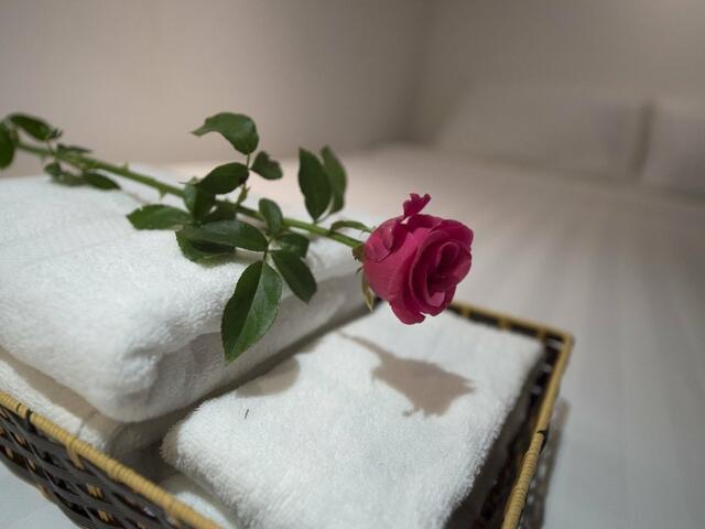 фотографии отеля Harmony Homestay Vintage of Old Quarter изображение №3