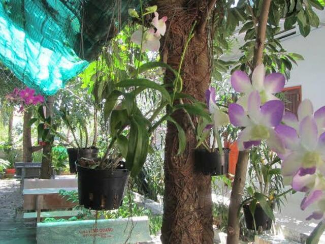 фотографии Quoc Dinh Guesthouse изображение №8
