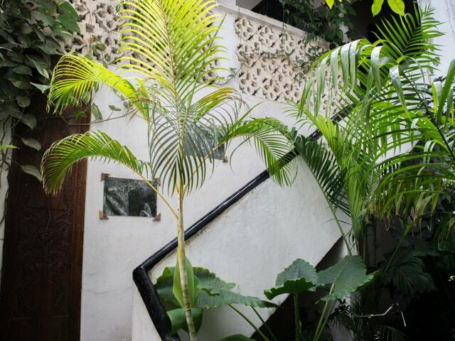 фото отеля Funguni Palace Hotel изображение №1