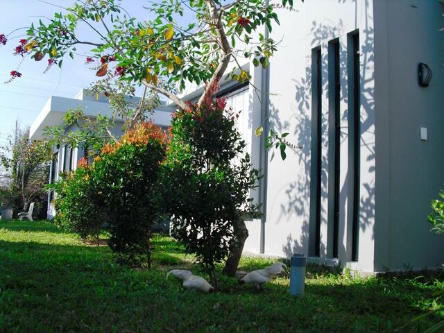 фотографии отеля Van Nguyen Minihouse изображение №23