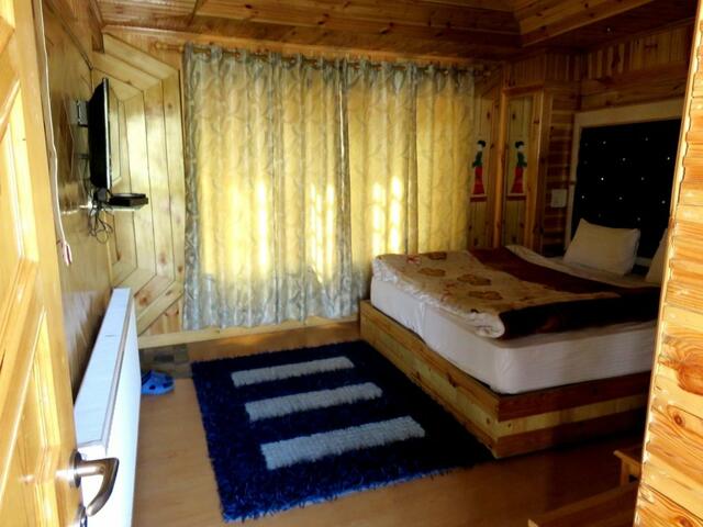 фотографии отеля Hotel Nezer Holiday Inn изображение №19