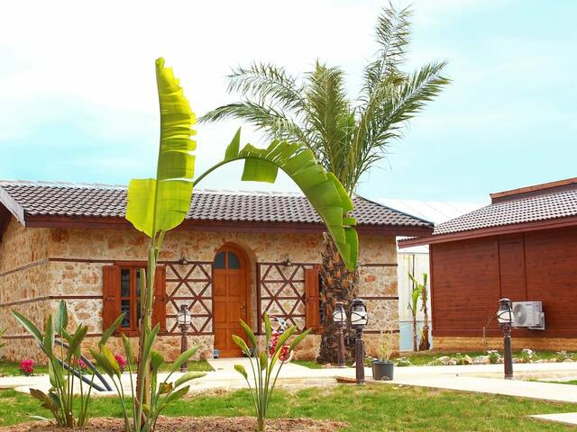 фотографии отеля Sedir Park Bungalow Hotel изображение №3