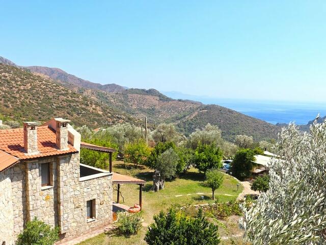 фото Zephyros Hotel изображение №10