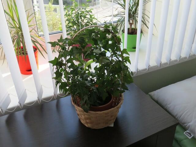 фото отеля Хостел СВ изображение №17