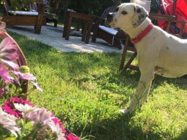 фото отеля Agva Piccolo Mondo Hotel изображение №5