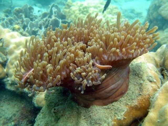 фото Thanh Vy Hotel изображение №2