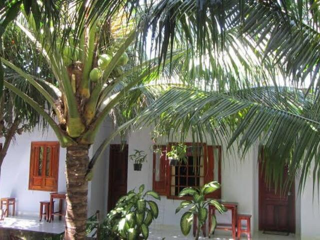 фото Quoc Dinh Guesthouse изображение №2