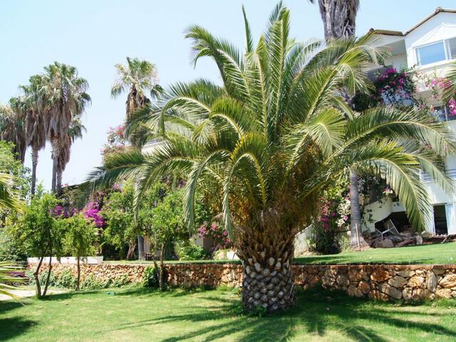 фотографии Pataros Hotel изображение №8