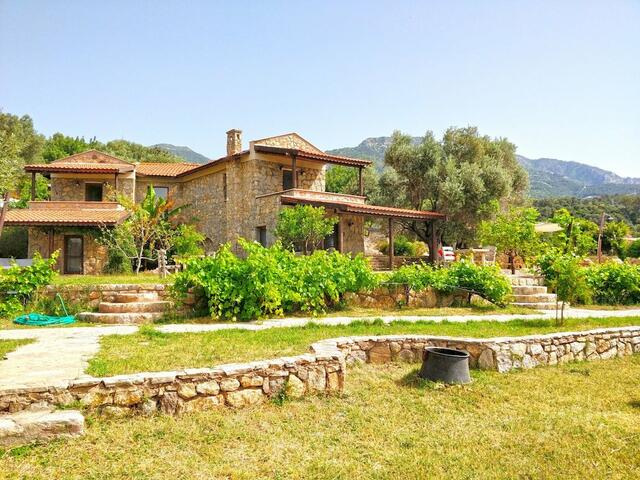 фото Zephyros Hotel изображение №6