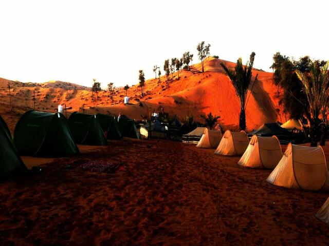 фото Bedouin Oasis Camp изображение №26